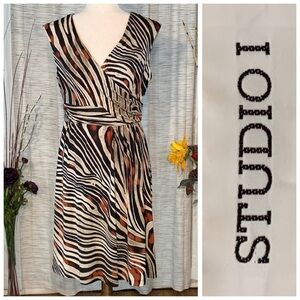 Studio I multicolored zebra stripe pattern sleeveless empire dress.